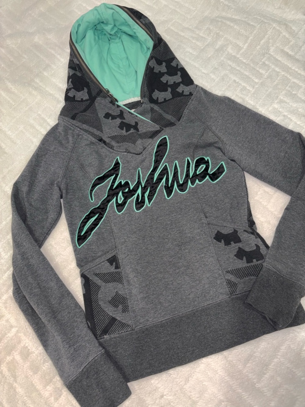 🌸 Joshua Grey Hoodie with Mint Lining